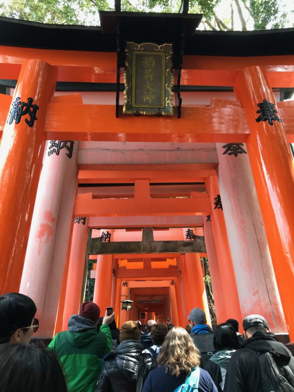 Fushimi Inari Taisha Senbon Torii Jeslyn Xie