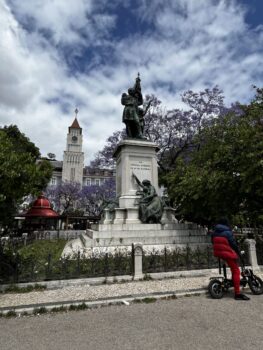 Beautiful Jacaranda Trees with purple flowers in Lisbon