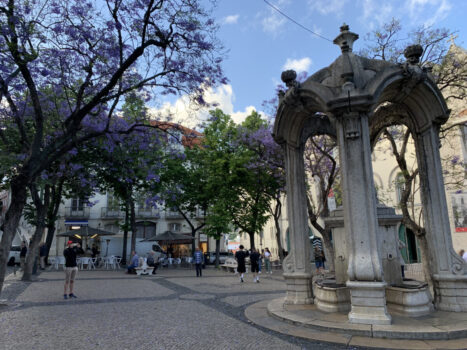 King Pedro IV Square